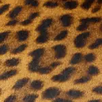 Printed Hair-On Cow Sides, 3 oz 10+ Patterns